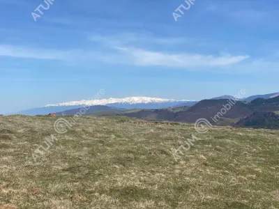 Teren intravilan 3000 mp cu utilitati de vanzare in Paltinis judet Sibiu - Paltinis