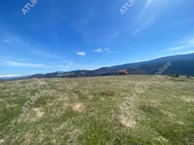 Teren intravilan 3000 mp cu utilitati de vanzare in Paltinis judet Sibiu - foto 3
