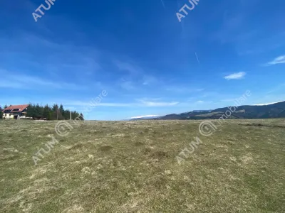 Teren intravilan 3000 mp cu utilitati de vanzare in Paltinis judet Sibiu - foto 7