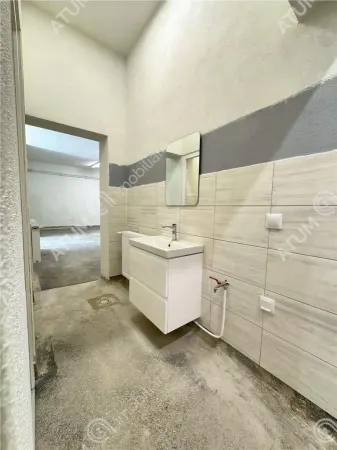 Spațiu comercial Sibiu - poza 23