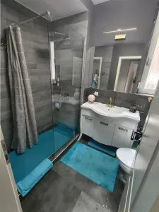 Apartament cochet cu 3 camere, gradina 110 mp si 3 parcari in zona Selimbar din Sibiu - foto 5