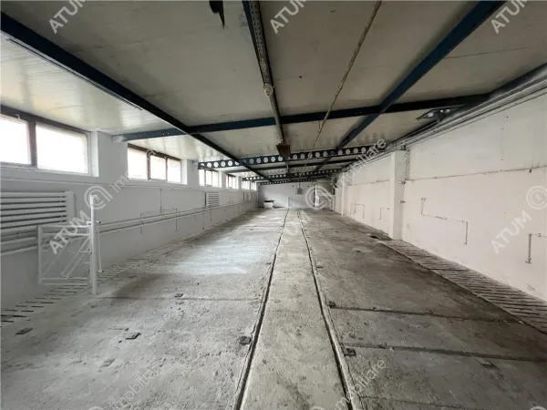 Spațiu industrial Cristian - poza 1