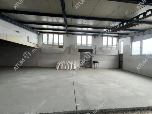 Spațiu industrial Cristian - poza 2