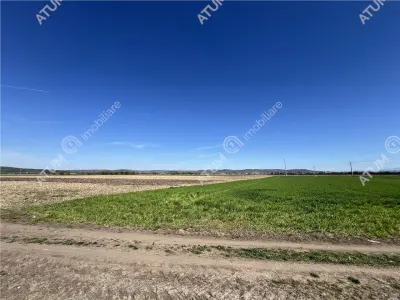 De vanzare teren intravilan cu suprafata de 16130 mp situat in Sibiu zona Calea Surii Mici - foto 2