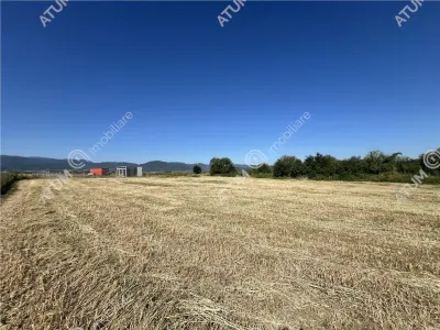 De vanzare teren extravilan de 10400 mp in Cristian zona Serelor - foto 8
