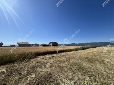 De vanzare teren intravilan de 543 mp cu PUZ pentru constructie duplex in Cristian - foto 2