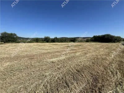 De vanzare teren intravilan de 543 mp cu PUZ pentru constructie duplex in Cristian - foto 6
