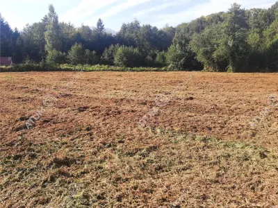 Teren intravilan de vanzare in Avrig zona turistica Valea Avrigului - foto 5