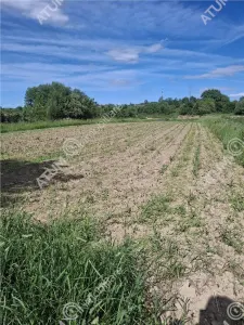 Teren intravilan de vanzare de 2679 mp in Porumbacu de Sus din Sibiu - foto 4