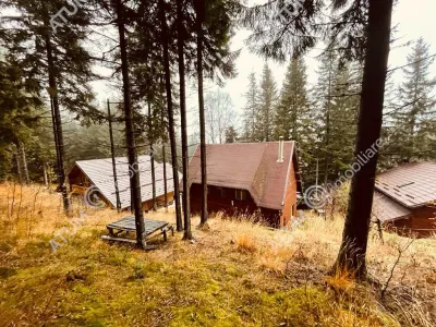Casa de vacanta/Cabana cu 8 camere de vanzare in Paltinis - foto 3