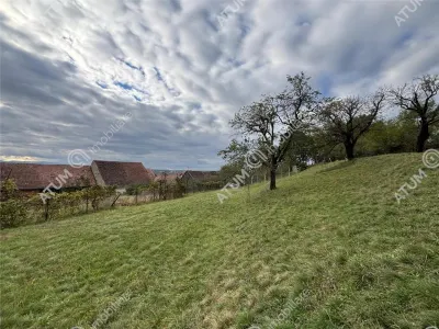 Teren intravilan de vanzare de 600 mp in localitatea Mohu din Sibiu - foto 10