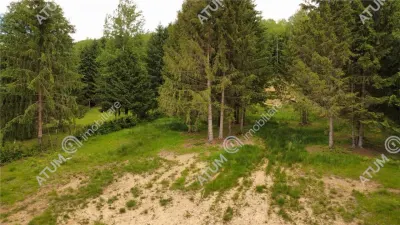 Teren intravilan 3000 mp de vanzare in Porumbacu de Sus din Sibiu - foto 6
