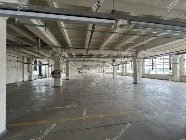 Spațiu industrial Sibiu - poza 8