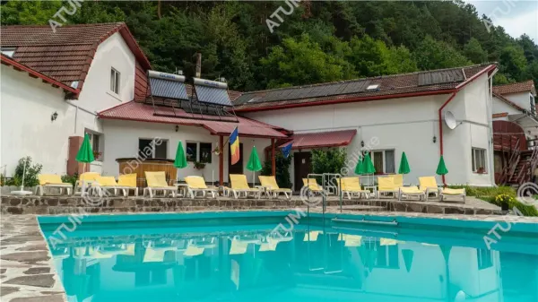 Hotel/Pensiune Rasinari - poza 2