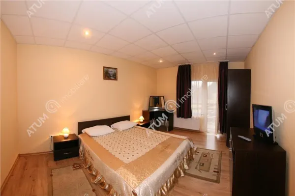 Hotel/Pensiune Rasinari - poza 22