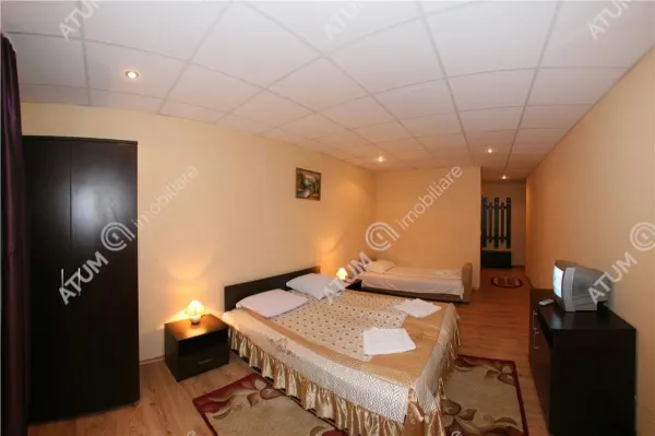 Hotel/Pensiune Rasinari - poza 24