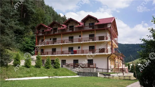 Hotel/Pensiune Rasinari - poza 27