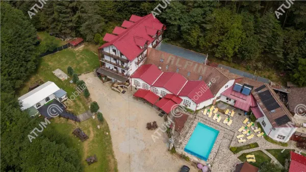 Hotel/Pensiune Rasinari - poza 29