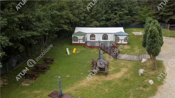 Hotel/Pensiune Rasinari - poza 30
