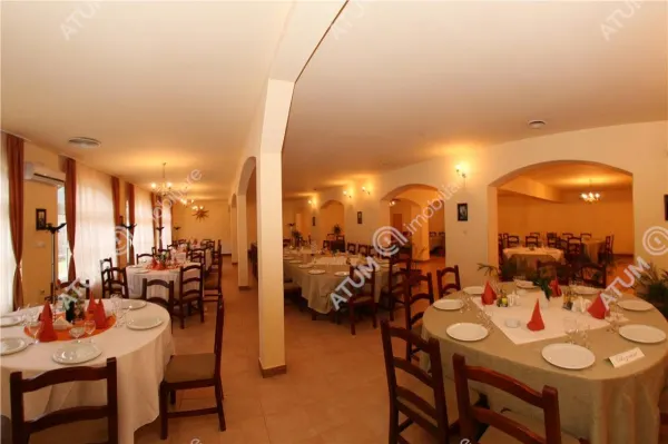 Hotel/Pensiune Rasinari - poza 4