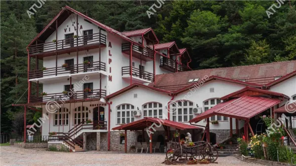 Hotel/Pensiune Rasinari - poza 33