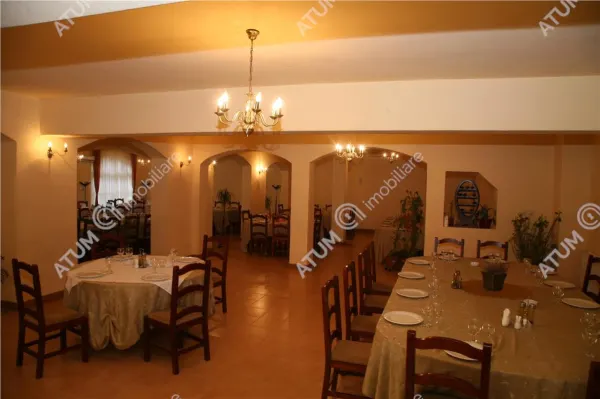 Hotel/Pensiune Rasinari - poza 35