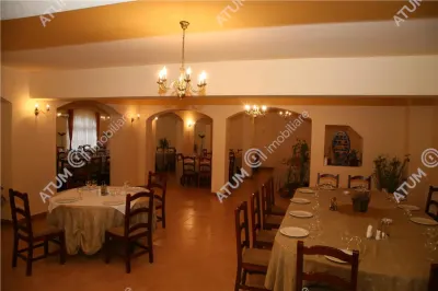 Hotel/Pensiune Rasinari - poza 35