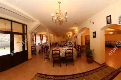 Hotel/Pensiune Rasinari - poza 36