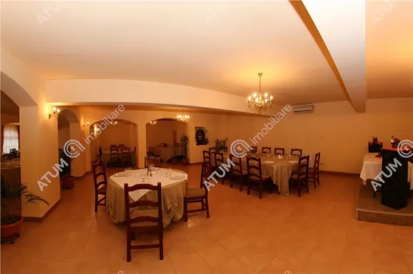 Hotel/Pensiune Rasinari - poza 38
