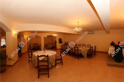 Hotel/Pensiune Rasinari - poza 38