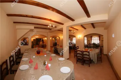 Hotel/Pensiune Rasinari - poza 39