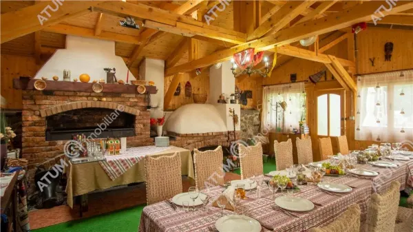 Hotel/Pensiune Rasinari - poza 5