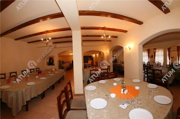 Hotel/Pensiune Rasinari - poza 41