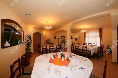 Hotel/Pensiune Rasinari - poza 42