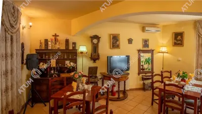 Hotel/Pensiune Rasinari - poza 43