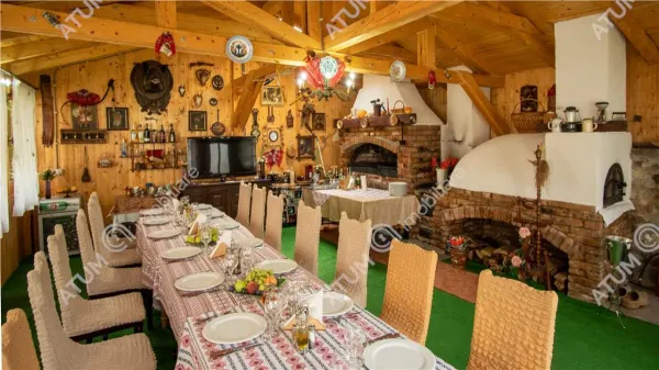 Hotel/Pensiune Rasinari - poza 44