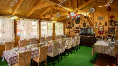 Hotel/Pensiune Rasinari - poza 45