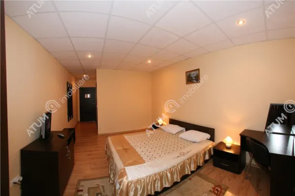 Hotel/Pensiune Rasinari - poza 46
