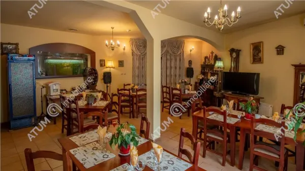 Hotel/Pensiune Rasinari - poza 52