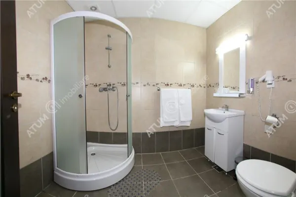 Hotel/Pensiune Rasinari - poza 53