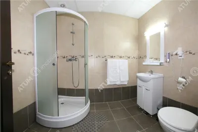 Hotel/Pensiune Rasinari - poza 53
