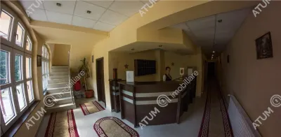 Hotel/Pensiune Rasinari - poza 55