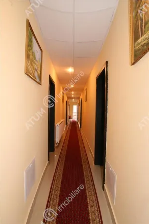 Hotel/Pensiune Rasinari - poza 56