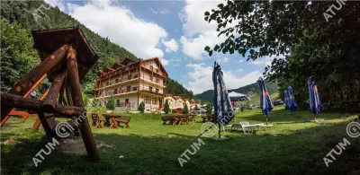Hotel/Pensiune Rasinari - poza 59