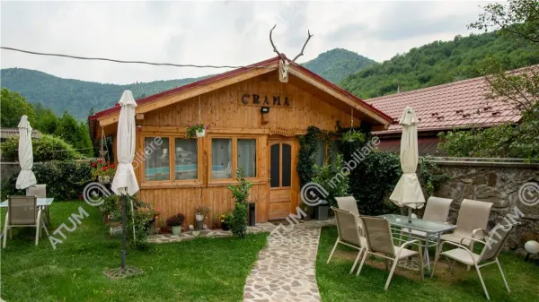 Hotel/Pensiune Rasinari - poza 60