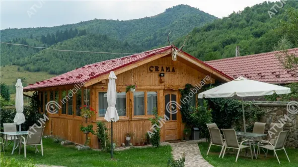 Hotel/Pensiune Rasinari - poza 61