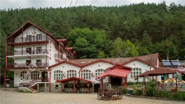 Hotel/Pensiune Rasinari - poza 62