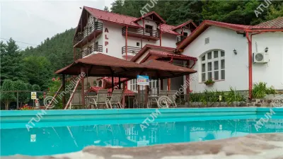 Hotel/Pensiune Rasinari - poza 63