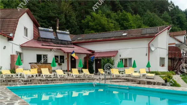 Hotel/Pensiune Rasinari - poza 64
