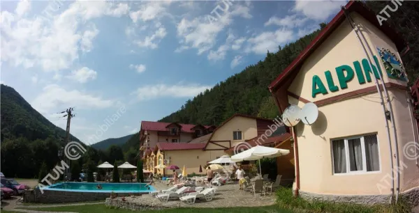 Hotel/Pensiune Rasinari - poza 70
